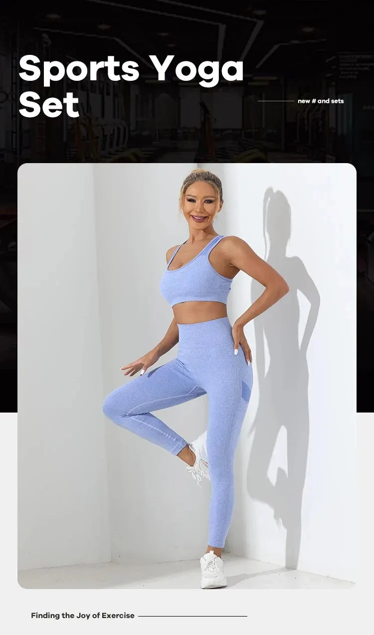 Seamless 2-Piece High Stretch Yoga Set