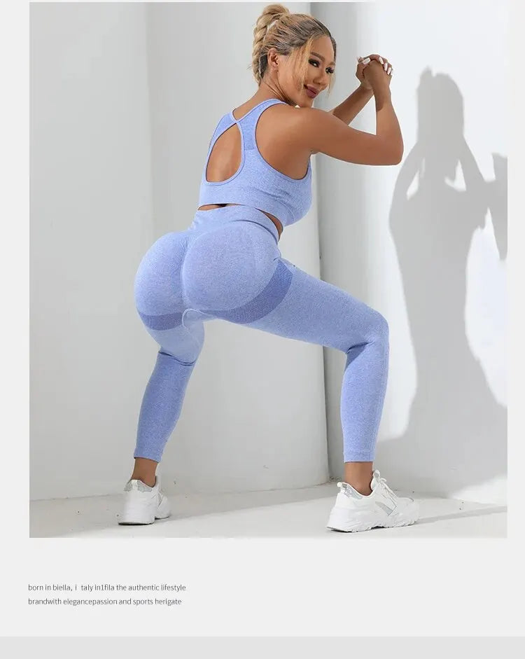 Seamless 2-Piece High Stretch Yoga Set