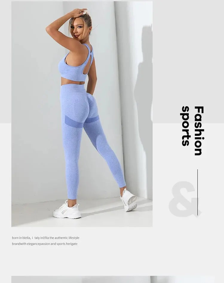 Seamless 2-Piece High Stretch Yoga Set
