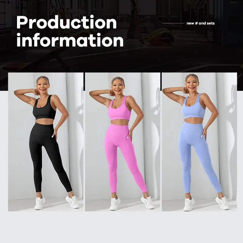 Seamless 2-Piece High Stretch Yoga Set