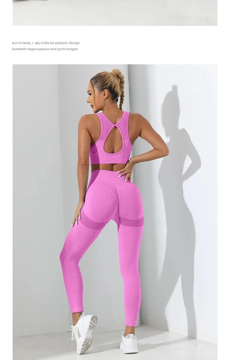 Seamless 2-Piece High Stretch Yoga Set