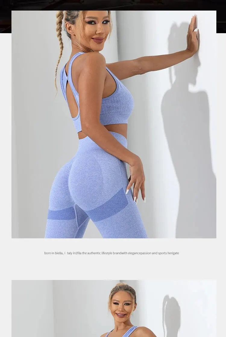 Seamless 2-Piece High Stretch Yoga Set