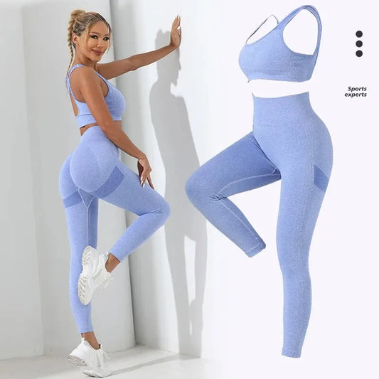 Seamless 2-Piece High Stretch Yoga Set