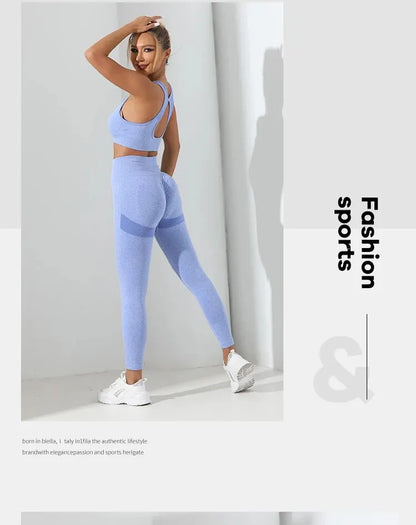 Seamless 2-Piece High Stretch Yoga Set